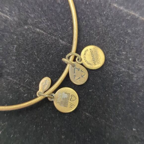 Alex and Ani Path of Life Charm Bangle Bracelet Antiqued Gold Tone Finish - Picture 4 of 5